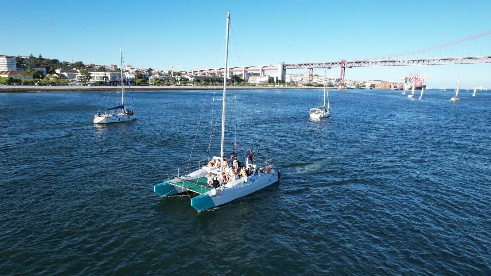 Catamaran Cardume
